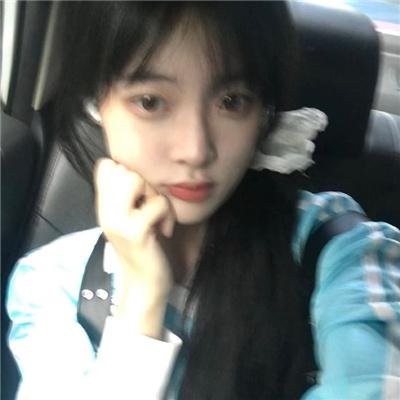 帝企鹅日记2:召唤